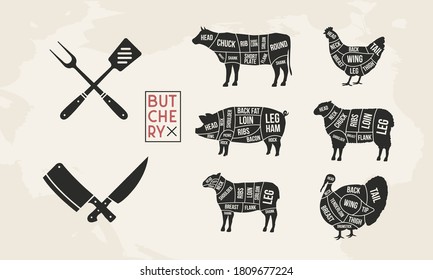 Butcher's guide set. Pig, Lamb, Cow, Chicken, Turkey silhouette cuts. BBQ utensils. Meat diagram. Cuts of Meat. Vector illustration