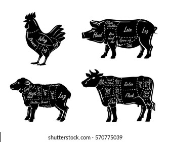 butchers guide symbols vector illustration on white