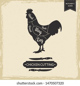 Butchers library vintage page - chicken cutting vector poster design. Illustration chicken cut, butcher scheme guide