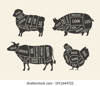 Butcher's Meat Chart, Diagram Set. Cuts Of Meat. Lamb, Pork, Beef, Chicken Meat. Barbecue Poster Design. Butchery, Meat Shop, Grocery Store Template. Vector Illustration