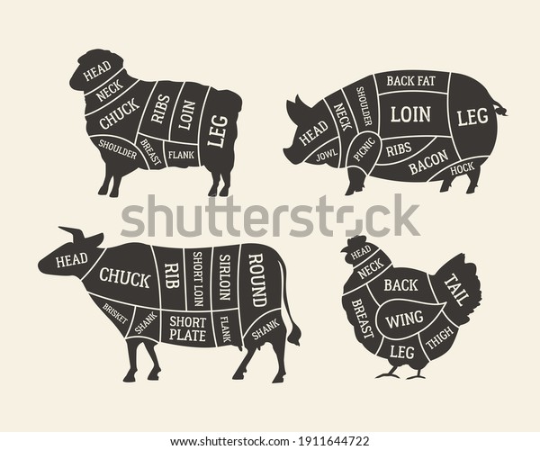 Butcher\'s meat chart,\
diagram set. Cuts of Meat. Lamb, Pork, Beef, Chicken meat. Barbecue\
poster design. Butchery, meat shop, grocery store template. Vector\
illustration