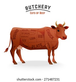 Butchery beef cuts diagram . Vector Illustration