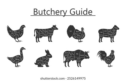 Guia de talho Touro, Ganso, Codorniz, Pato, Cordeiro, Turquia, Coelho, Pedaços de carne. Ilustração de vetor.