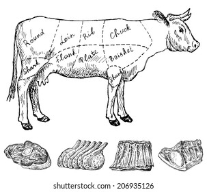 butchery. hand drawing set of vector sketches