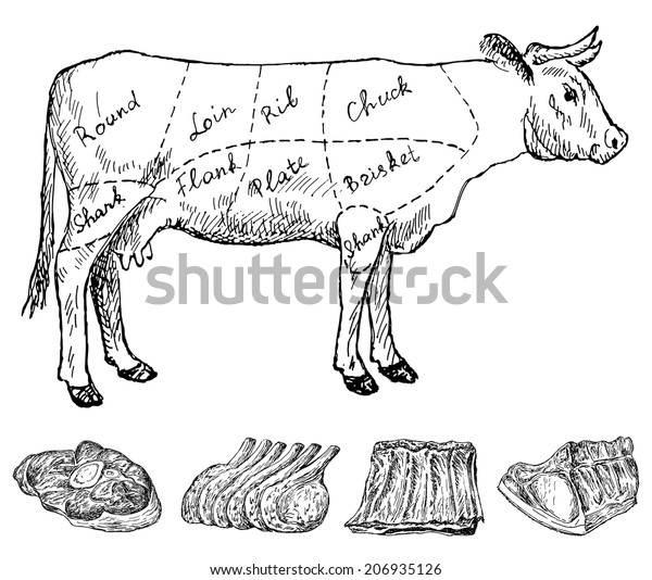 Butchery Hand Drawing Set Vector Sketches Stock Vector (Royalty Free ...