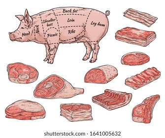 Butchery store banner or poster depicting pork meat parts, vector illustration in sketch style isolated on white background. Pig silhouette with signed and cutted pieces.