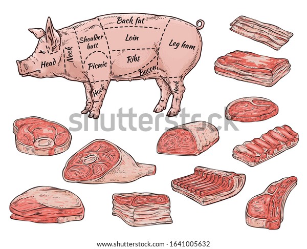 Butchery store\
banner or poster depicting pork meat parts, vector illustration in\
sketch style isolated on white background. Pig silhouette with\
signed and cutted\
pieces.