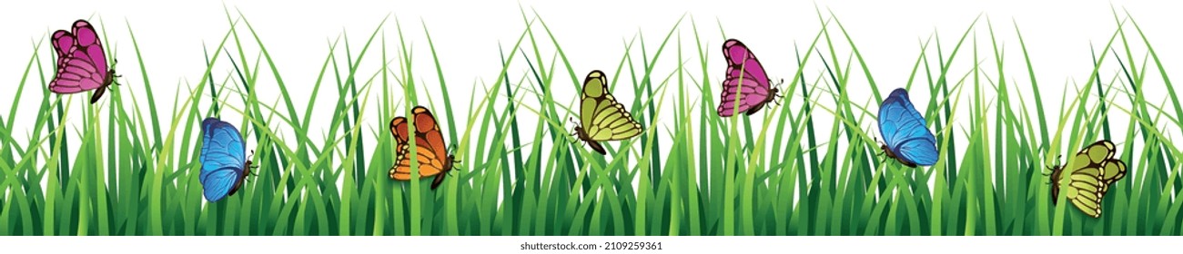 Buterflies in meadow grass. Natural realistic seamless border