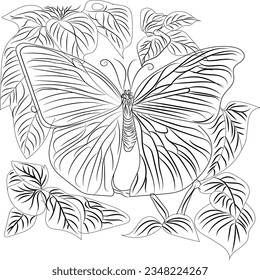 Buterfly and Flower background pattern design