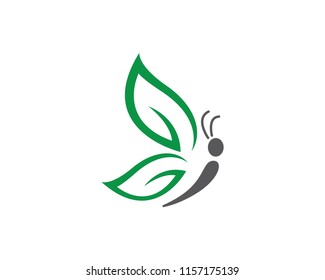 Buterfly Illustration Vector