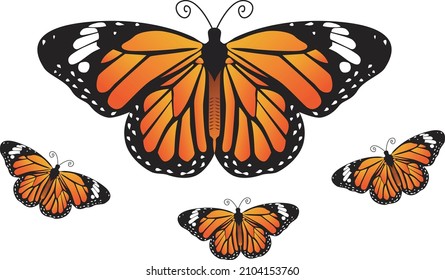 BUTERFLY SIMPLE AND ELEGANT VECTOR FOR YOUR T-SHIRT OR LOGO IN YOUR COUNTRY