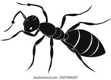 a butifull bee and ant silhouette vector lllustration
