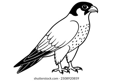  ‍a butifull peregine falcon with linar lllustration