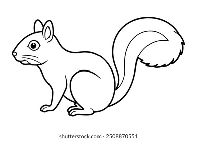 a butifull squirrel with linar lllustration 