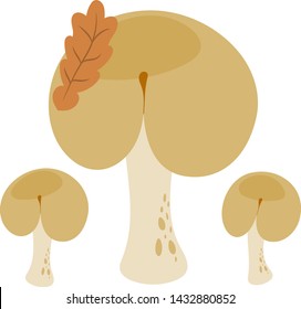 Butt shaped puffball mushroom set. Vector illustration.