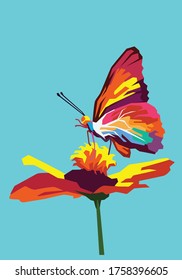 buttefly and the flower for background illustration and image