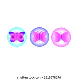 Butter flies vector or illustration