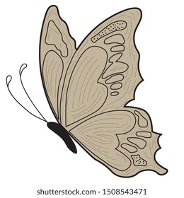 Butter fly design illustration flat vector,