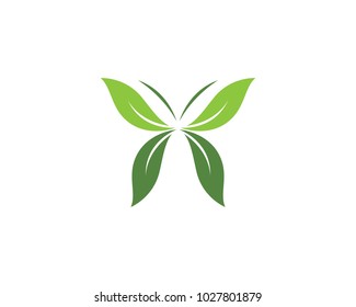 Butter fly leaf nature ilustration concept