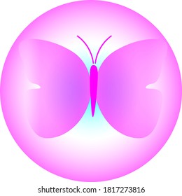 Butter fly vector or illustration in pink colour 