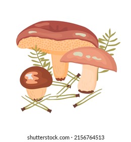 Butter mushrooms in coniferous needles isolated on white.Three forest mushrooms with shiny caps.Colorful natural background for printing on fabric and paper.Detailed vector flat illustration.