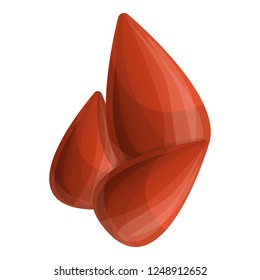 Butter nut icon. Cartoon of butter nut vector icon for web design isolated on white background