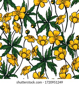 Buttercup Anemone flowers, wild plants decorative wallpaper. Hand drawn vector vintage seamless pattern. Botanical realistic gentle floral background. Colorful design for wrap, textile, print, fabric.