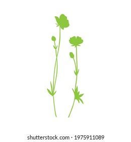 Buttercup flower or Crowfoot vector illustration isolated on white background, decorative herbal green doodle, silhouette for design medicine, wedding invitation, greeting card, cosmetic