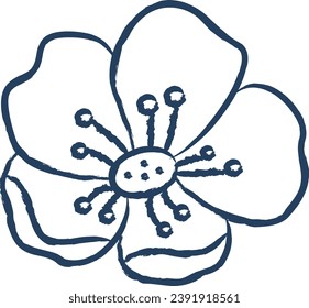 buttercup flower hand drawn vector illustration