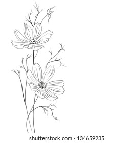 Buttercup flower isolated over white. Vector illustration.