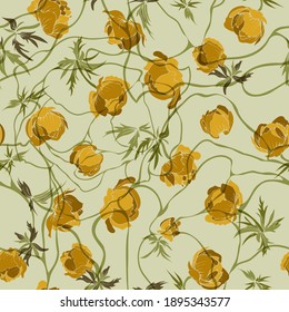 Buttercup flower. Meadow, a flower garden. Seamless vector pattern with flowers. Hand drawing.