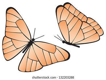 Butterflies