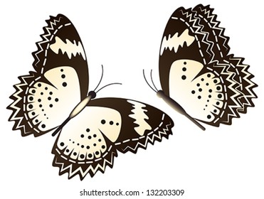 Butterflies
