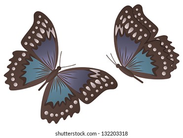 Butterflies