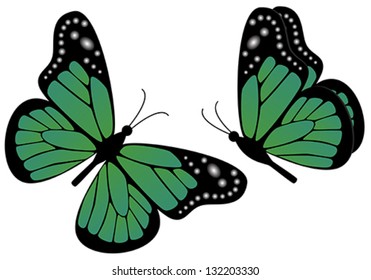 Butterflies