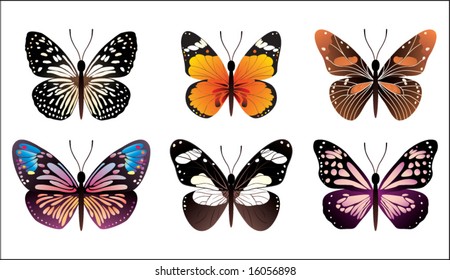 Butterflies