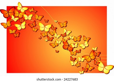 Butterflies