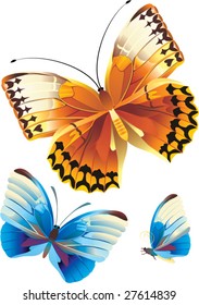 butterflies