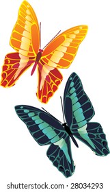 butterflies