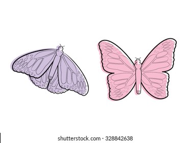 Butterflies