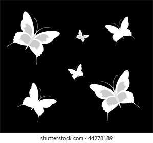 butterflies