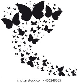 butterflies
