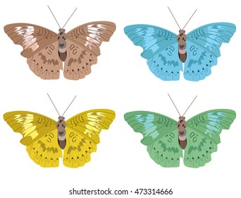 Butterflies 