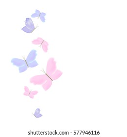 Butterflies.