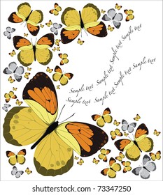 Butterflies