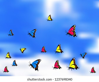 Butterflies against the sky
