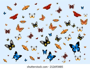 butterflies background