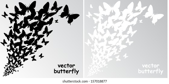 butterflies background / vector illustration 