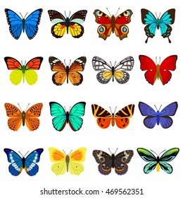 Butterflies beautiful vector illustration