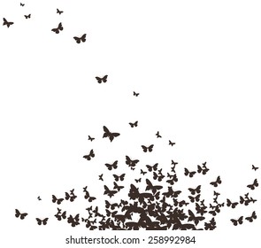butterflies black design